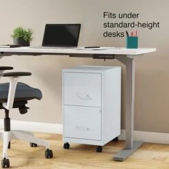 Quill Brand® 2-Drawer Light Duty Vertical File Cabinet, Locking, Letter, Gray, 18" (24363) -Office Essentials Shop s1212971 s7